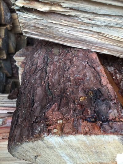 Smoky Pine