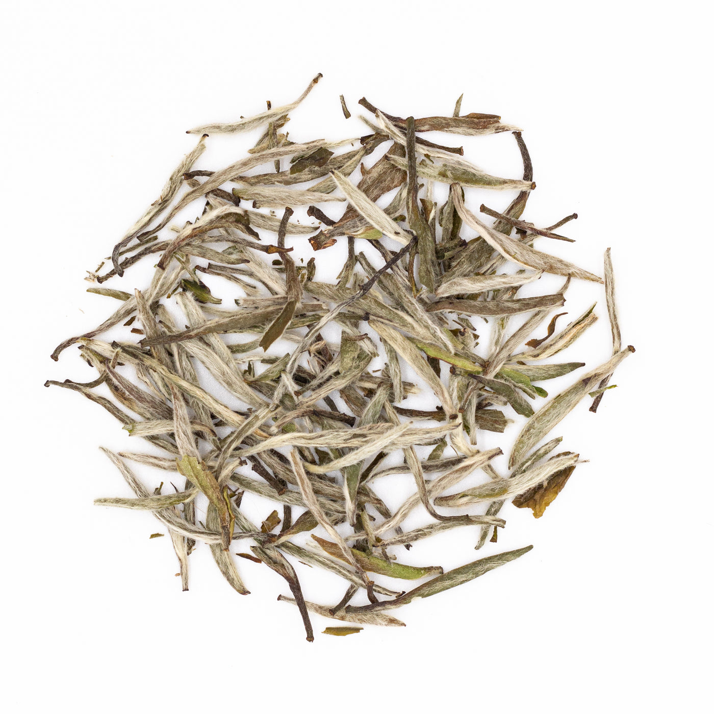 Silver Needle