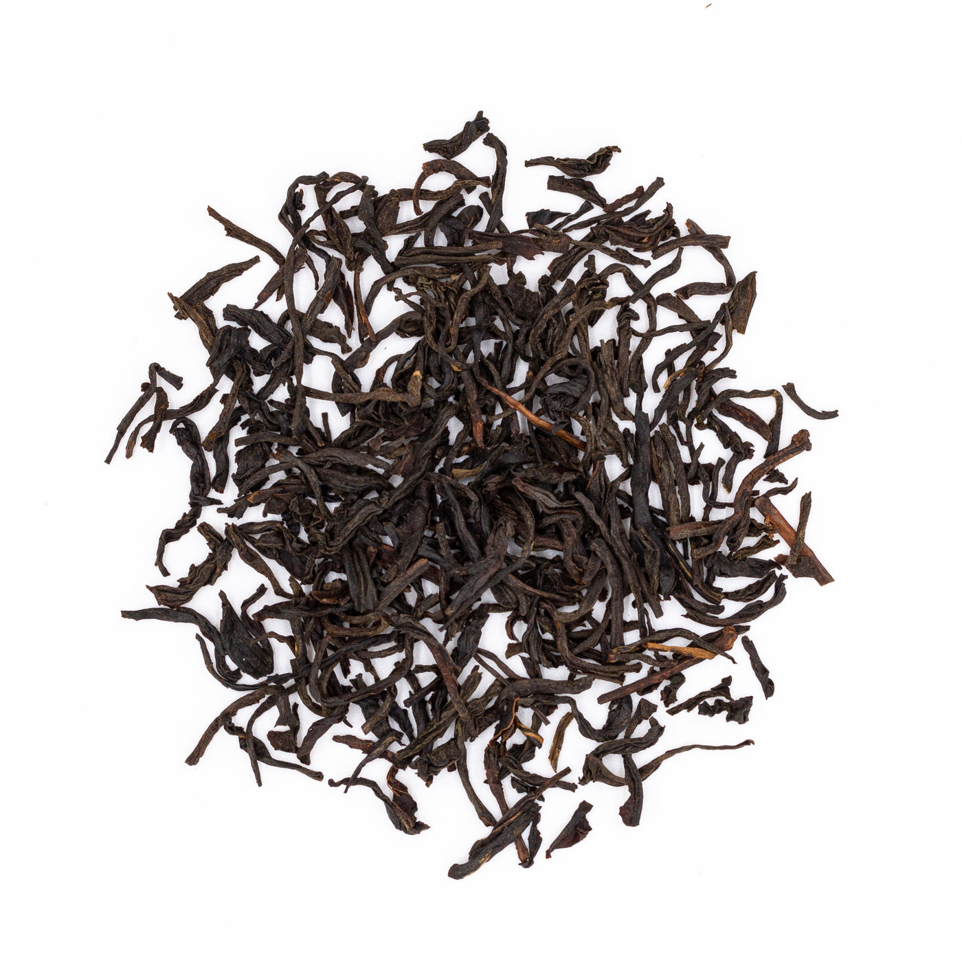 Smoky Pine