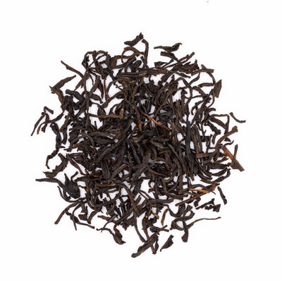Smoky Pine